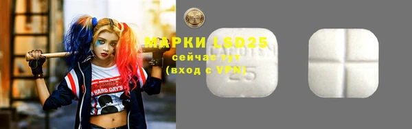 spice Аркадак