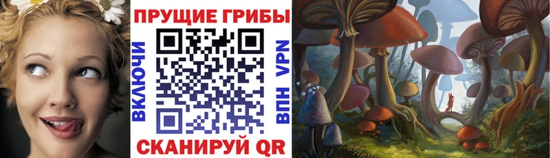 Псилоцибиновые грибы мухоморы Каменногорск