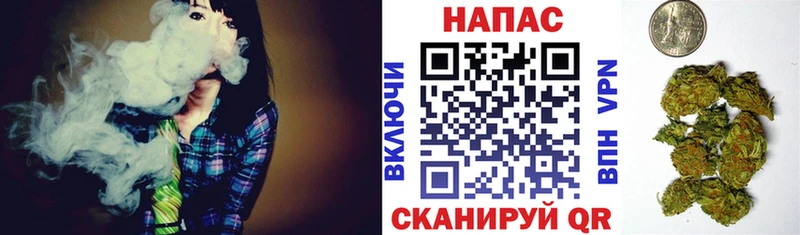 МАРИХУАНА MAZAR  как найти наркотики  Каменногорск 
